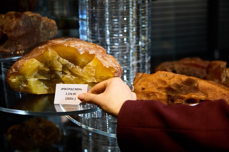 H70A8154.jpg H70A8154.jpg