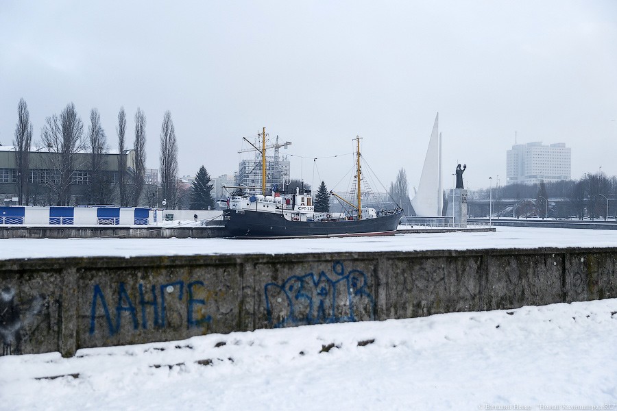 _NEV4974.jpg _NEV4974.jpg