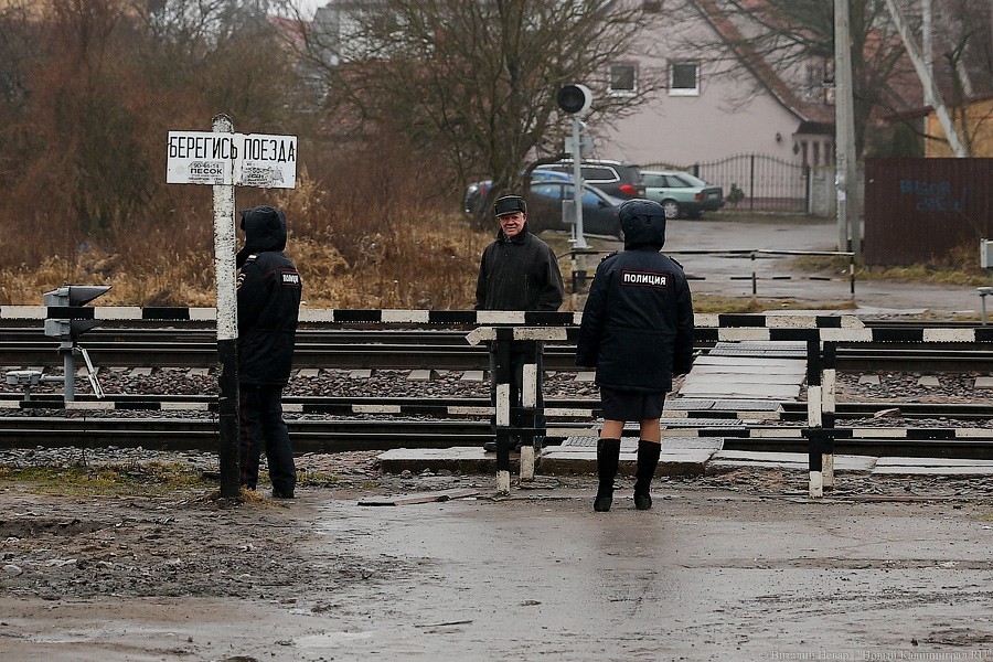 _NEV4785.jpg _NEV4785.jpg