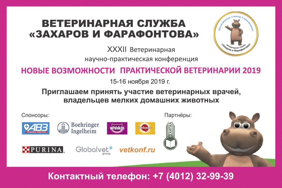 конференция ноябрь 2019 900x600 .jpg