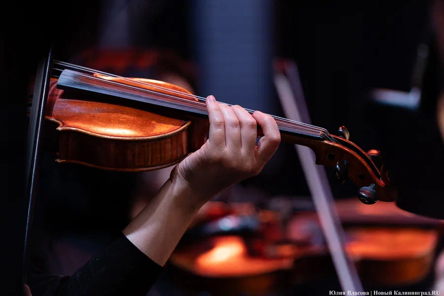 2024.08 скрипка, музыка 42.JPG