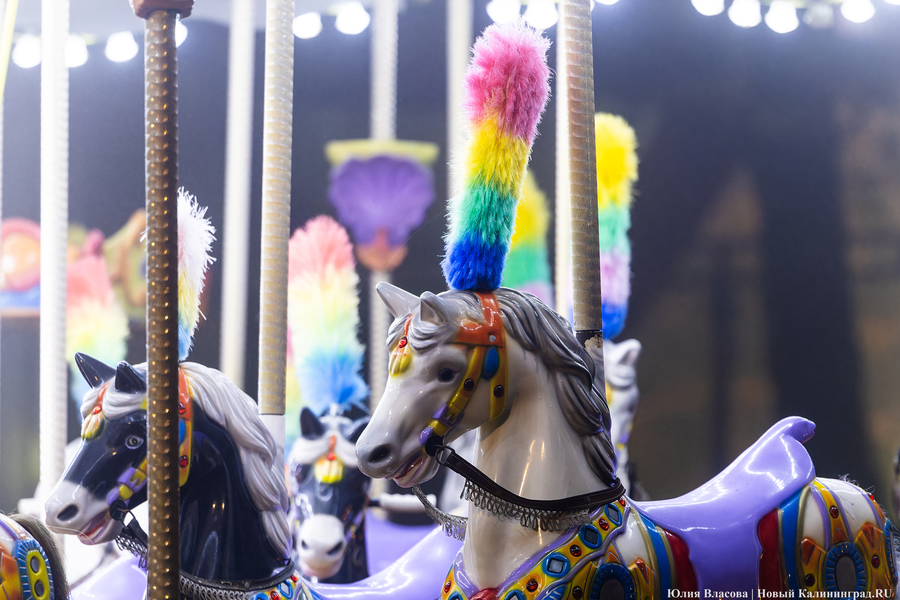 2024.11 ночь, туман, подсветка, вечер, парк развлечений, юность, карусель, лошадки 18.JPG
