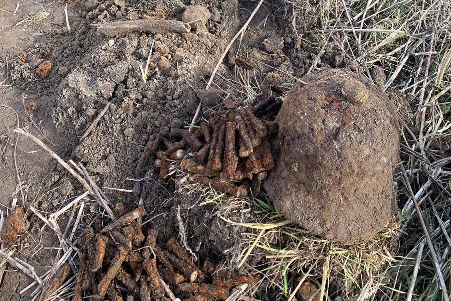 photo_2023-03-24_12-05-54 (1).jpg