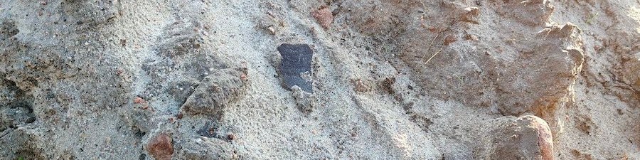 cropped-image (92).jpg