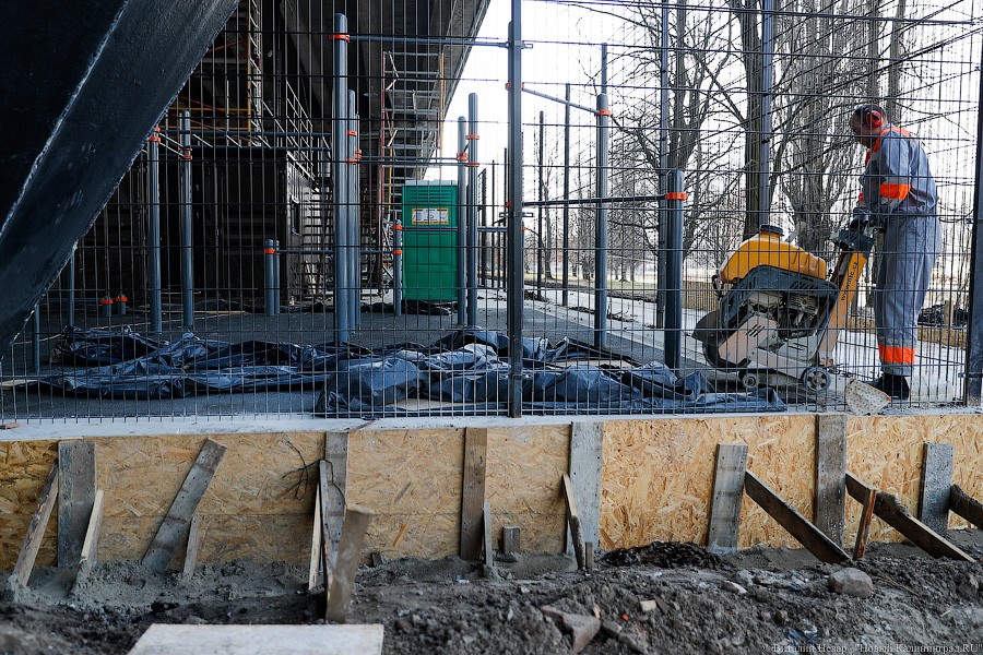 _NEV5453.jpg _NEV5453.jpg