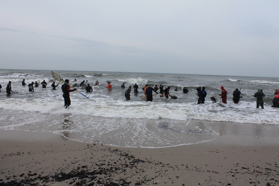 2015-11-13 18-28-50.JPG