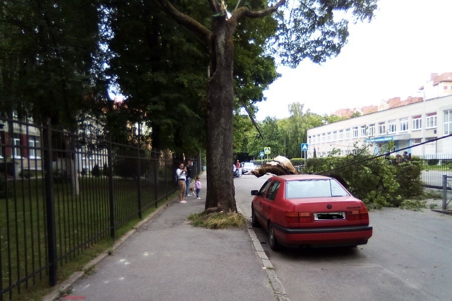 в2.jpg в2.jpg