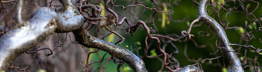 to1t2m93am8rhacxzdxspwf39k3ouldy_cr.jpg to1t2m93am8rhacxzdxspwf39k3ouldy_cr.jpg