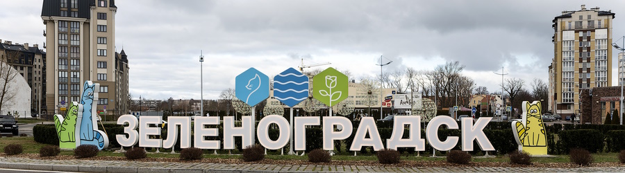 2025.02 зеленоградск, коты 01.JPG