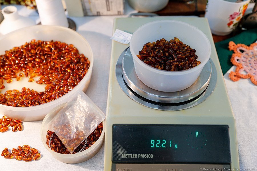 _NEV7856.jpg _NEV7856.jpg