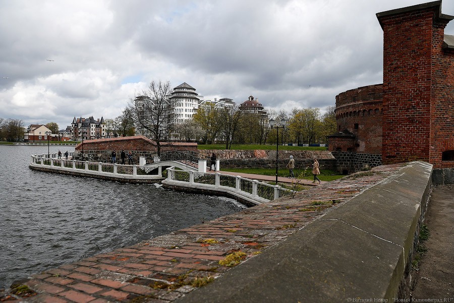 _NEV4881.jpg _NEV4881.jpg