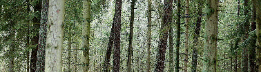 icvjltxhg7yafbo6d4qpluwoq1fgkkmy (1).jpg icvjltxhg7yafbo6d4qpluwoq1fgkkmy (1).jpg