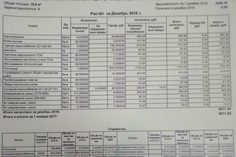 коми-3.jpg коми-3.jpg