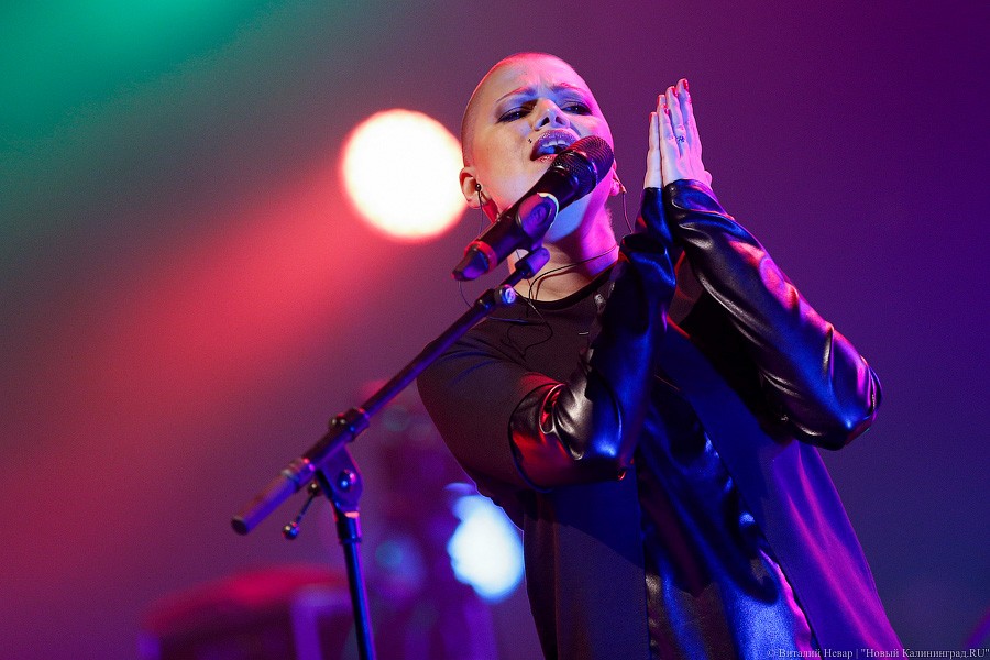 _NEV2879.jpg _NEV2879.jpg