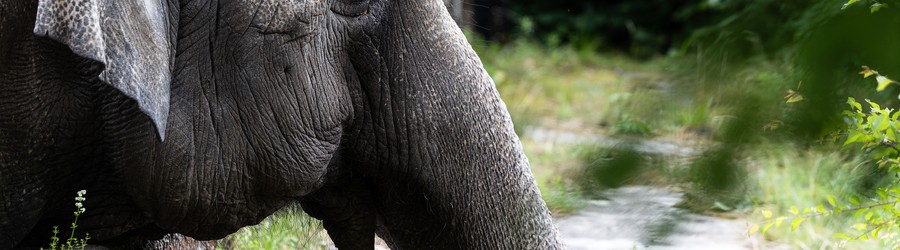 cropped-image (11).jpg