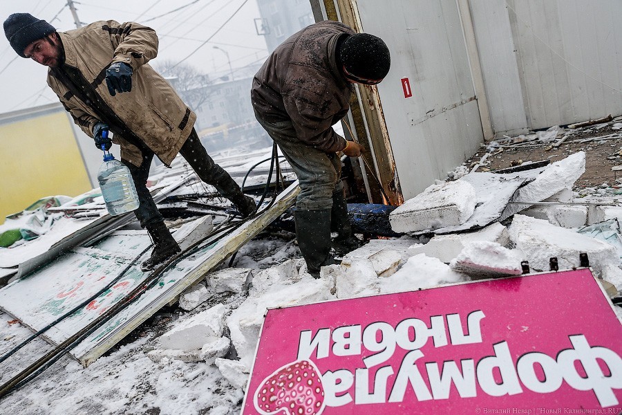 _NEV4384.jpg _NEV4384.jpg