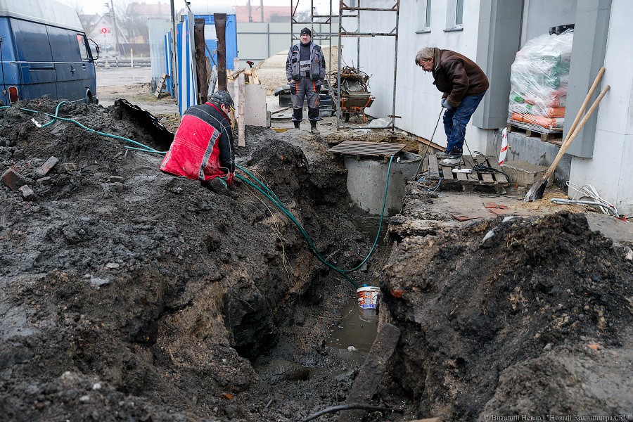 _NEV4773.jpg _NEV4773.jpg