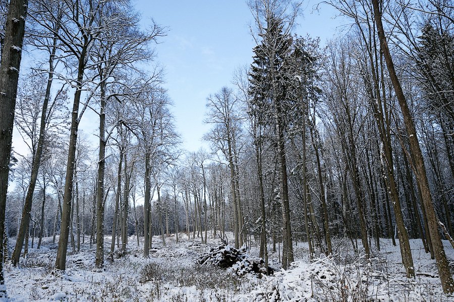 _NEV0448-2.jpg _NEV0448-2.jpg