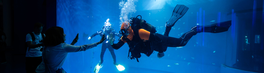 xy81cmweyb01ab813laqgqgq3az0adl9 (1).jpg