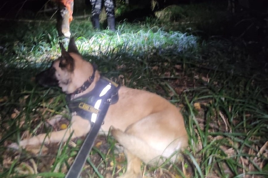 PHOTO-2025-09-25-23-33-05 (1).jpg