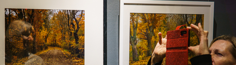 dqr6u0f7knvh5sxual6sk90ixw2nib2i (1).jpg dqr6u0f7knvh5sxual6sk90ixw2nib2i (1).jpg