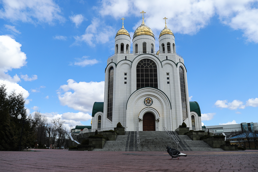 0NVR8063.jpg 0NVR8063.jpg