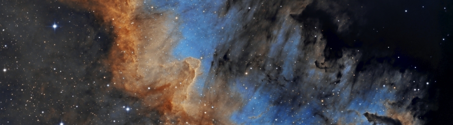 NGC7000_HST_clone_9_sign111_cr.jpg NGC7000_HST_clone_9_sign111_cr.jpg