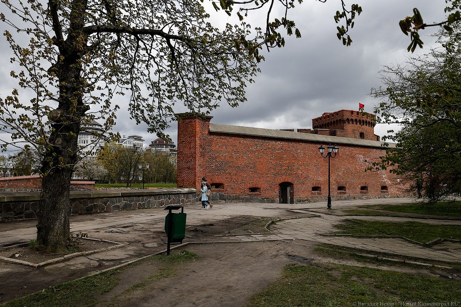 _NEV4874.jpg _NEV4874.jpg