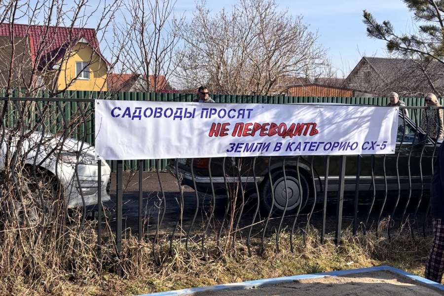 садоводы.jpg садоводы.jpg