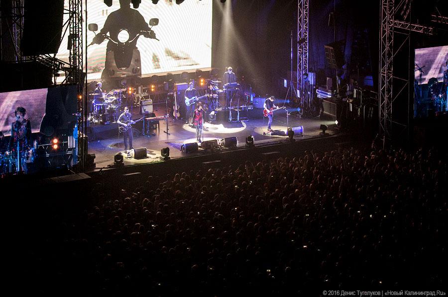 Концерт Земфиры.jpg