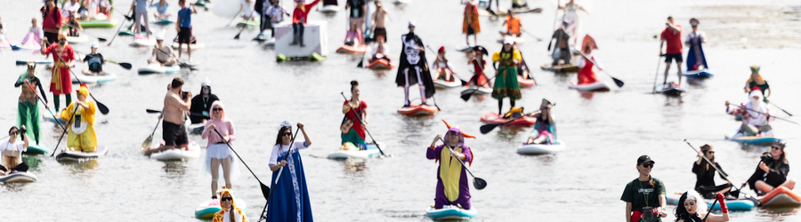 z2p1f1svee4vykrw1hf1jgw6ij601k9x (1).jpg