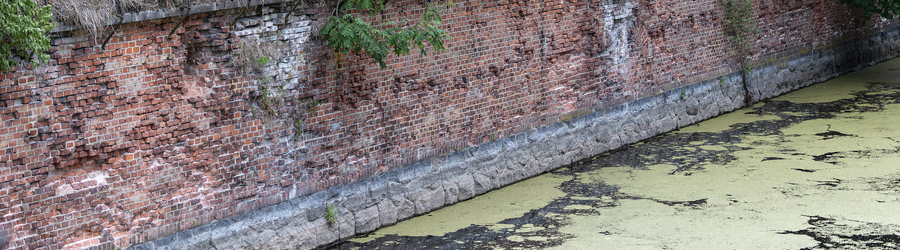 x8g4l0mdsiluza6xdcqlvjpcv8z6jtn0_cr.jpg x8g4l0mdsiluza6xdcqlvjpcv8z6jtn0_cr.jpg