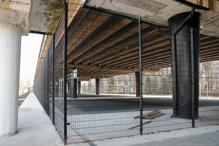 _NEV5444.jpg _NEV5444.jpg