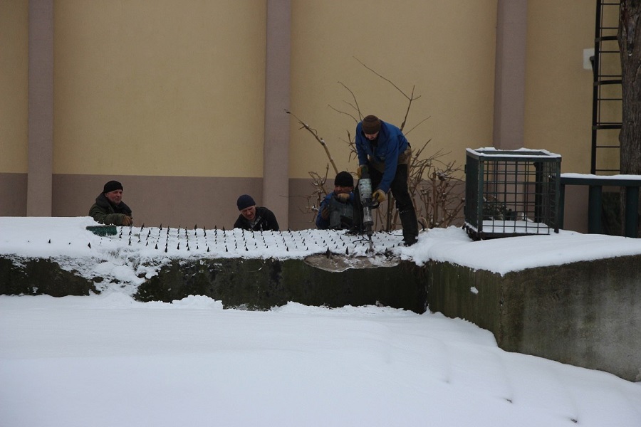 photo_2024-01-18_11-19-47 (2).jpg