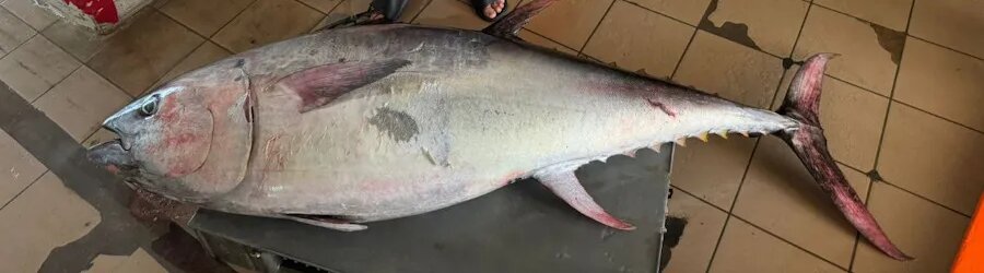 xfs4xq0ubh3aq7doyn3xfjo5zvbf4bwi (1).jpg xfs4xq0ubh3aq7doyn3xfjo5zvbf4bwi (1).jpg