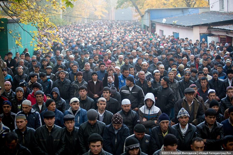 c5979ae3f446707276161114e9750b6b.jpg c5979ae3f446707276161114e9750b6b.jpg