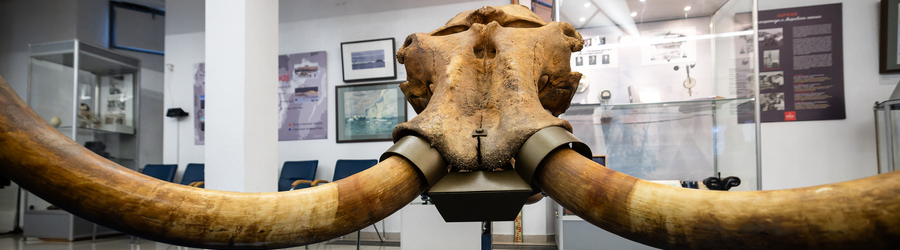 et9cvanmw1jnrfzu832x8i5mubtl7roo (1).jpg et9cvanmw1jnrfzu832x8i5mubtl7roo (1).jpg