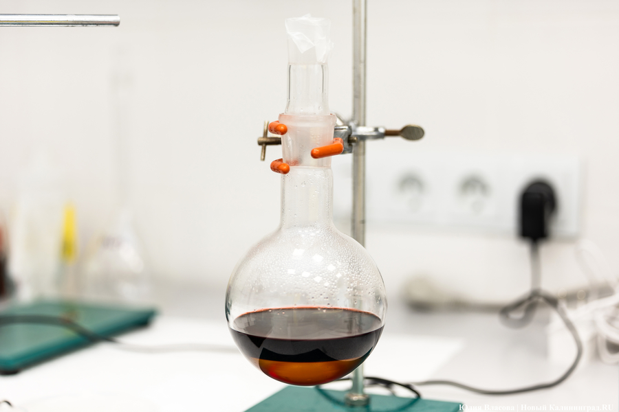 2025.03 бфу канта, университет, химическая лаборатория 05.JPG