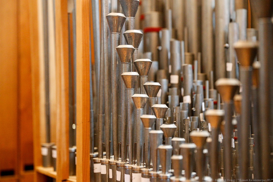 _NEV9518.jpg _NEV9518.jpg