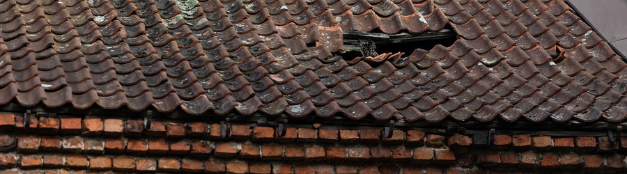 2023.09 правдинск, крыша, черепи.jpg