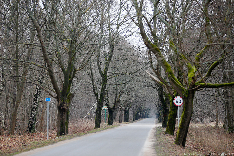 _NEV7943.jpg _NEV7943.jpg