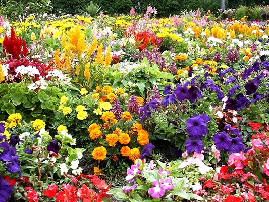 flower-garden_001.jpg