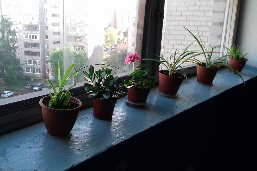 20160922_152733.jpg