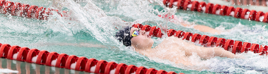 i8dx9b2nd3ycz5i081ghqnt74g6k6f6e (1).jpg