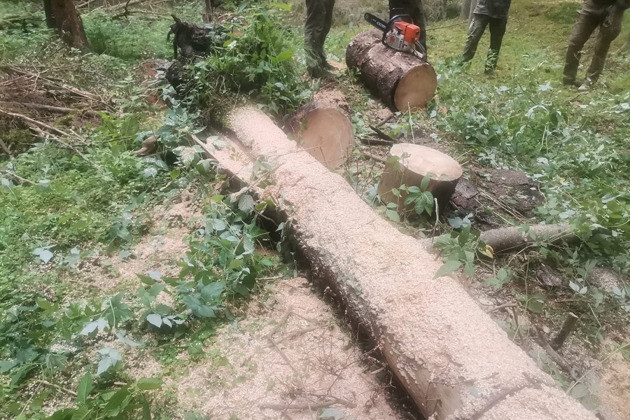 ab1c952e-fd45-4d1c-83fc-d7a14df0813c.jpeg ab1c952e-fd45-4d1c-83fc-d7a14df0813c.jpeg