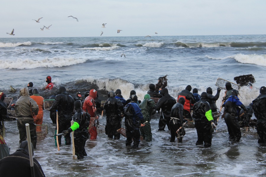 2015-11-13 14-25-42.JPG