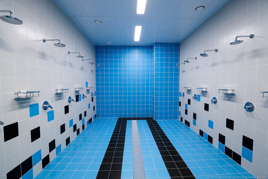 _NEV2724.jpg _NEV2724.jpg