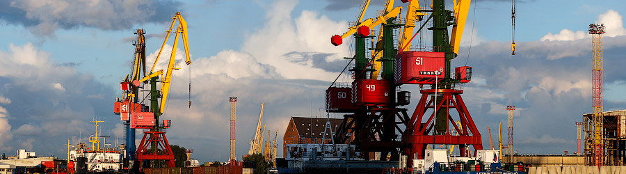 _NEV8995_cr.jpg _NEV8995_cr.jpg