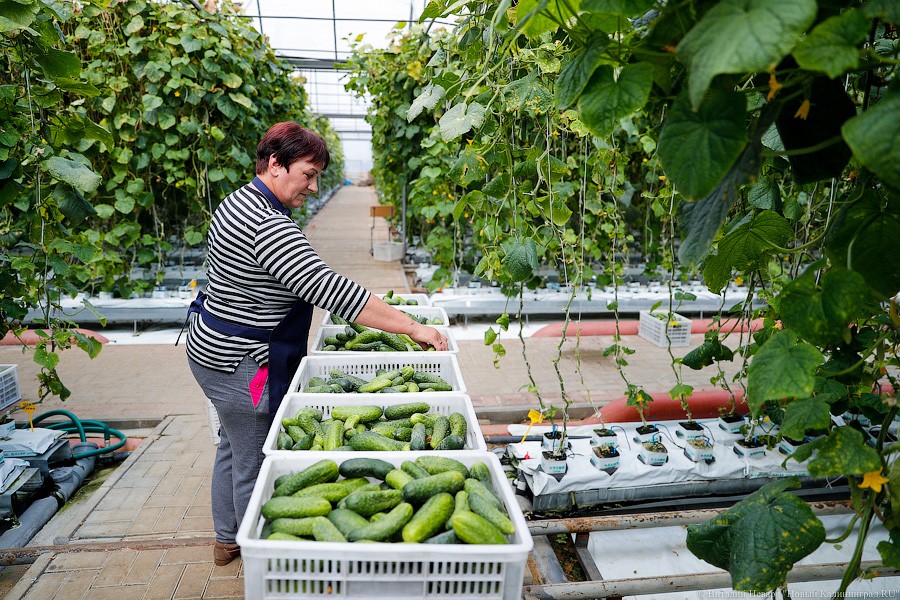 _NEV2497.jpg _NEV2497.jpg