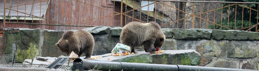 f5bee2458bd39885c2b7ad3517a86496 (1).jpg